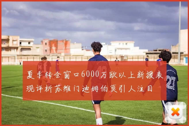 夏季转会窗口6000万欧以上新援表现评析苏维门迪姆伯莫引人注目