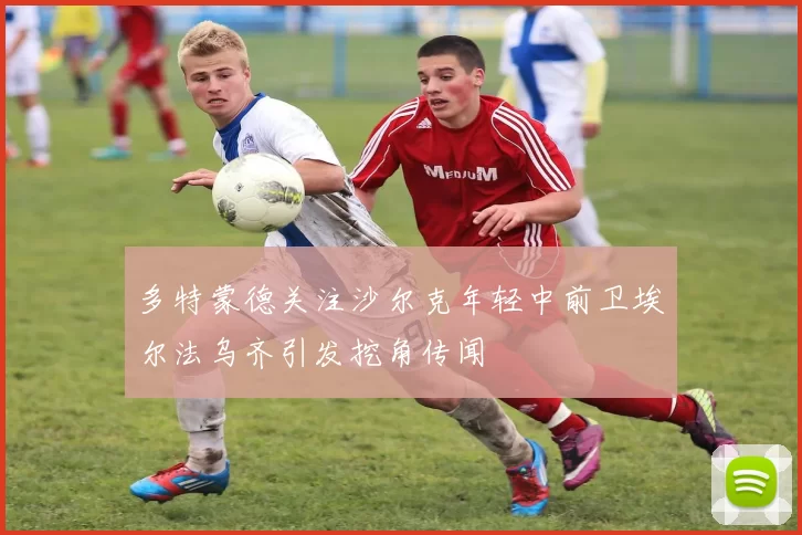 多特蒙德关注沙尔克年轻中前卫埃尔法乌齐引发挖角传闻