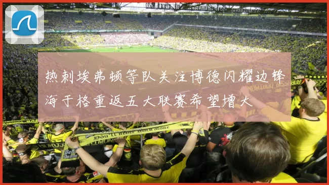 热刺埃弗顿等队关注博德闪耀边锋海于格重返五大联赛希望增大