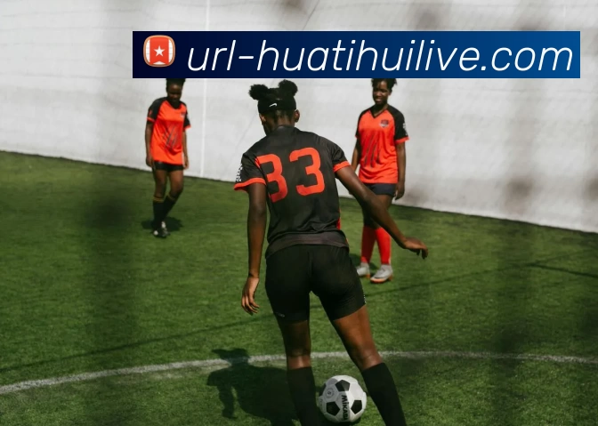 华体会体育平台生态图